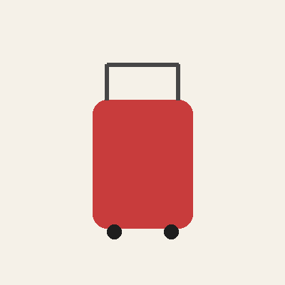 Trolley Suitcase (24-inch)